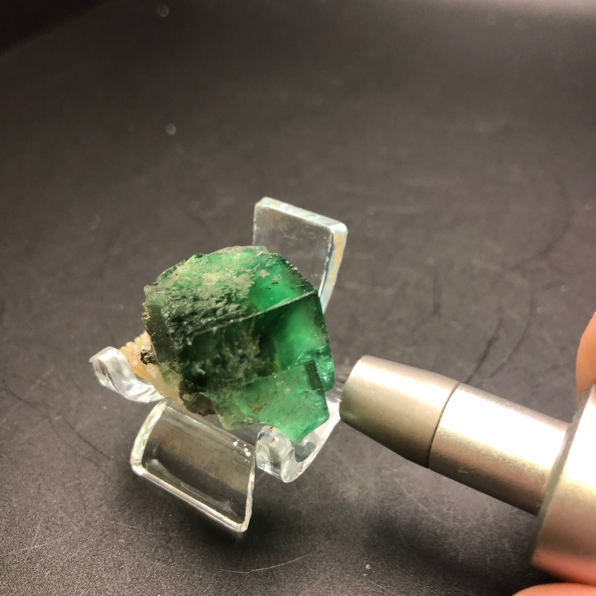 A deep green fluorite gemstone from The Crystalary's AUCTION collection, sourced from the Diana Maria Mine in Frosterly Weardale Co., Durham, England, is held by a metal tool on a clear stand against a dark background. The rough and uneven surface of the stone beautifully captures its natural essence.