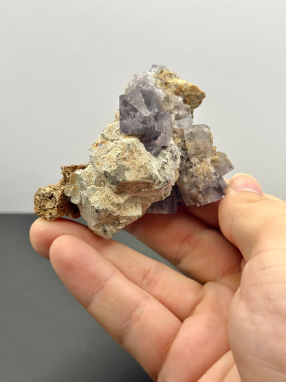 A hand displays a cluster of HS001 Fluorite from The Crystalary, sourced from the Hailstorm Pocket in Weardale's Lady Annabella Mine. The piece is embedded in a tan, rocky matrix and features purple, translucent amethyst crystals with geometric shapes. Fluorescent purple fluorite enhances its appeal against a gray background.