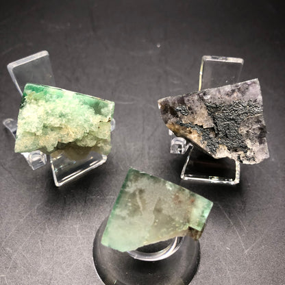 Three specimens of The Crystalary's AUCTION Fluorite from the Lady Anabella Mine are elegantly showcased on clear stands against a dark backdrop. Each specimen displays partial cubes, highlighting a variety of colors and textures with their captivating shades of green and gray, complemented by rough, crystalline surfaces.