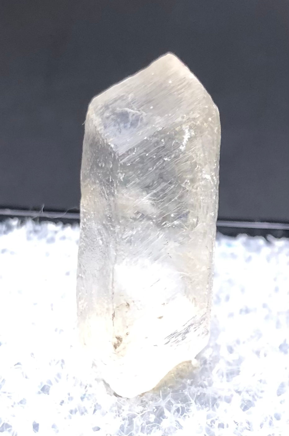 A detailed view features a translucent, rhombic Selenite crystal from The Crystalary's AUCTION collection, found at Willow Creek in Nanton, Alberta. It stands upright on a textured white surface, its rough exterior varying in clarity and emanating a subtle glow against the dark backdrop, capturing the serene beauty of its origin.