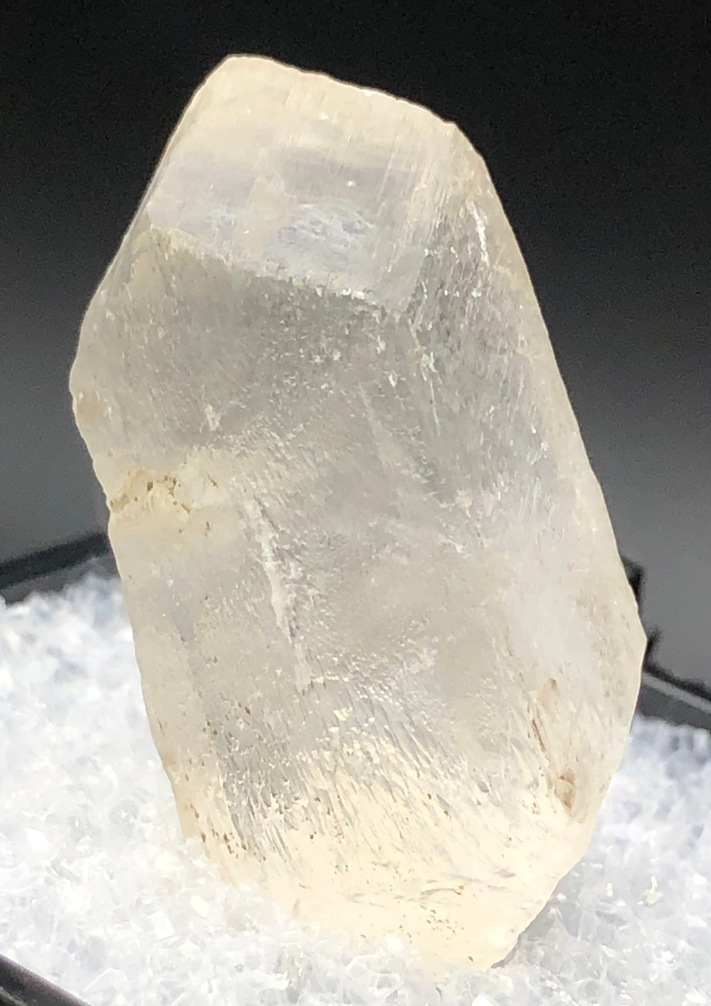 Displayed against a dark background is the AUCTION- Selenite from Willow Creek, Nanton, Alberta, Canada by The Crystalary. This rough, translucent crystal features a light beige hue and is partially embedded in white granular material. Its glassy transparency enhances its subtle elegance.