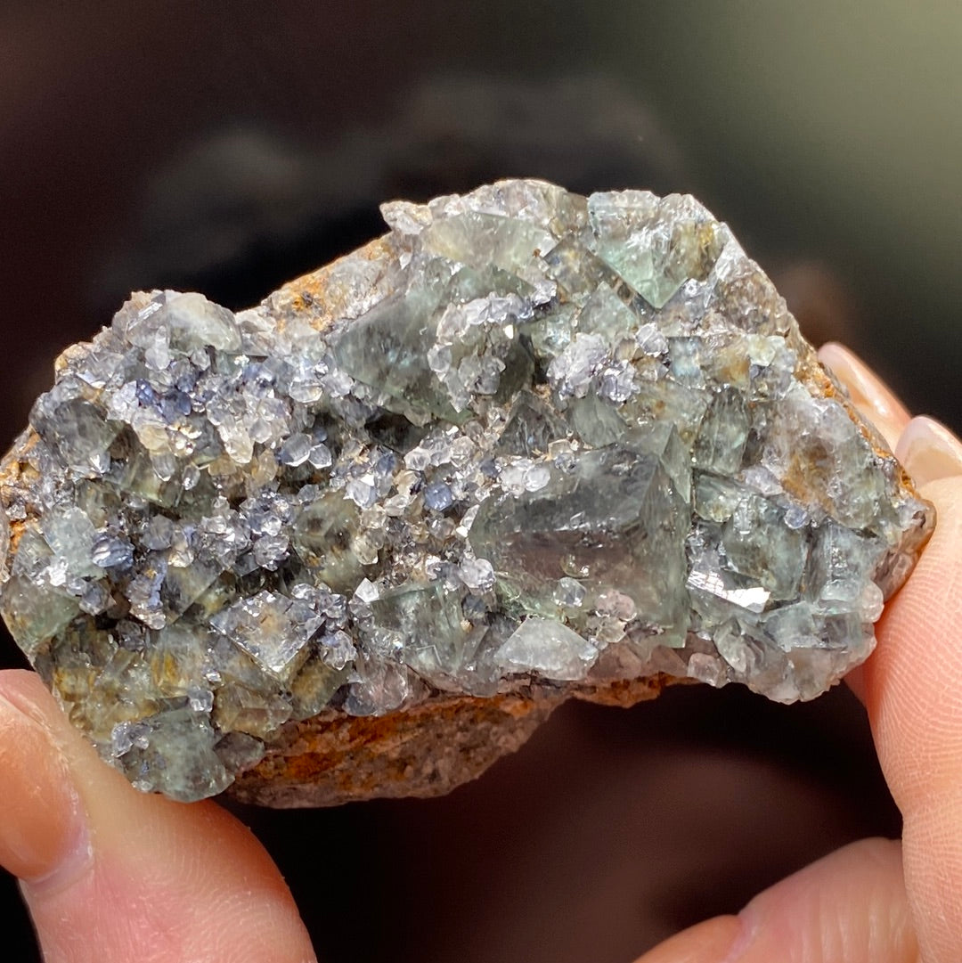 A hand holds a rock specimen featuring clusters of clear, light green, and slightly bluish crystals, identified as the color-changing Fluorite from the Northern Lights Pocket of the Diana Maria Mine in Co. Durham, England. The rough, jagged crystals are embedded within a brownish rock matrix. The blurred background accentuates the intricate crystal details. This exquisite piece is offered by The Crystalary.