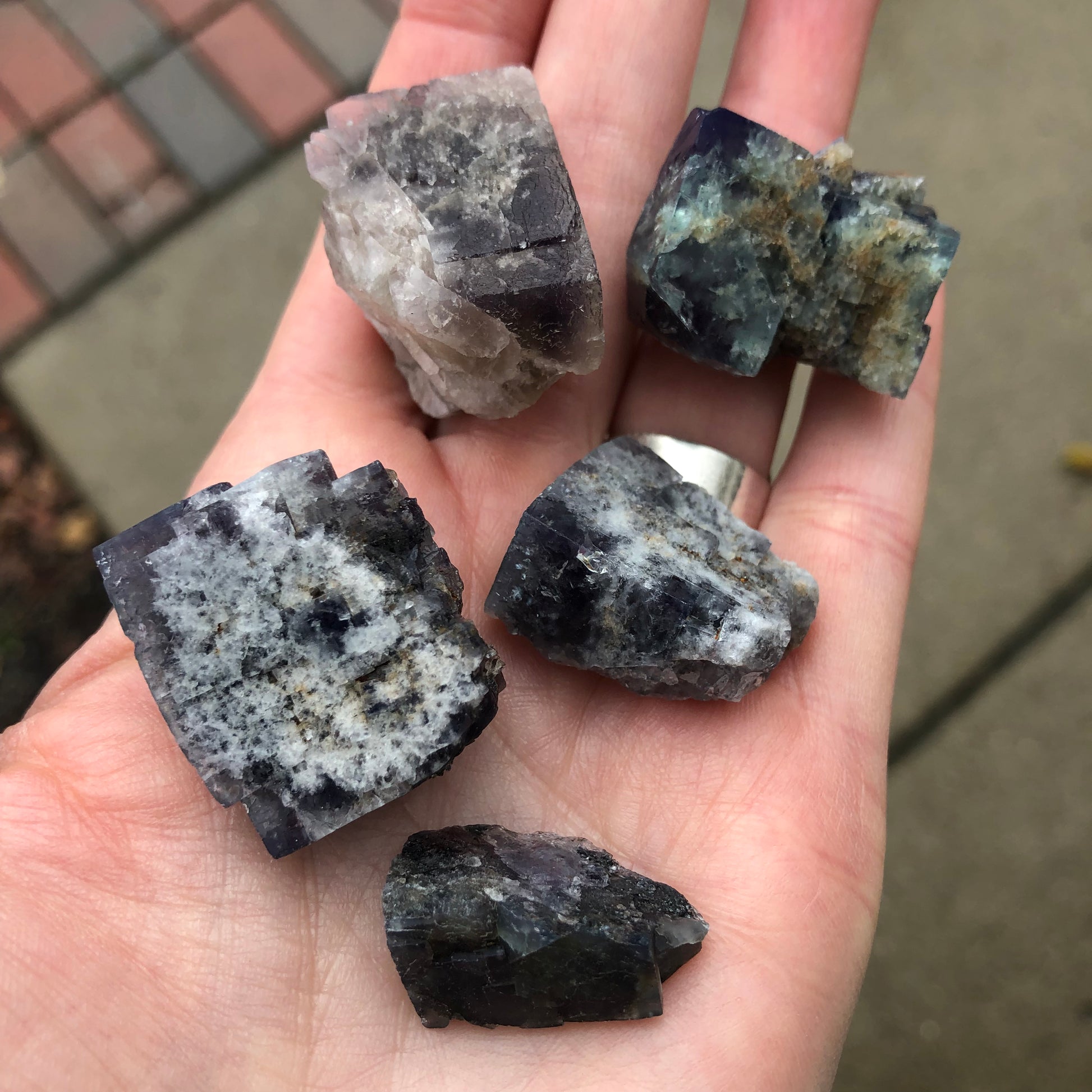 In the foreground, a hand displays five rough stones from The Crystalary's "AUCTION- Fluorite" collection, sourced from the Lady Annabella Mine in Co. Durham, England. These unpolished stones feature shades of blue, white, and gray and resemble fluorite cubes with their crystalline structures and diverse natural patterns. A blurred pathway serves as the background.
