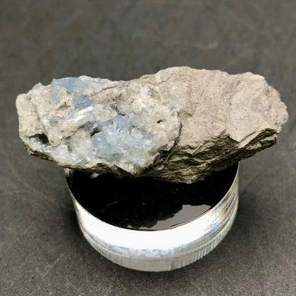 A close-up of a rough stone with bluish crystal formations is displayed on a round, clear stand against a dark background. Its appearance echoes that of the Celestine miniatures from Meckley's Quarry. The stone beautifully combines earthy and crystalline textures and is part of the "AUCTION- Celestine" collection by The Crystalary, originating from Meckley's Quarry, Mandata, Northumberland County, Pennsylvania, USA.