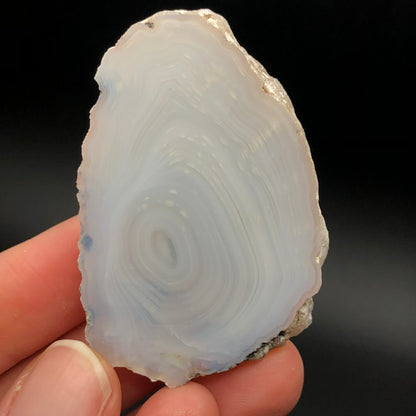 AUCTION- FLAT: 4th of July Agate- Fourth of July Peak (Fourth of July Butte), Hassayampa, Maricopa County, Arizona, USA