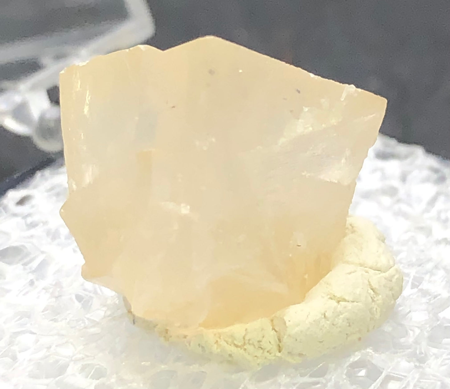 A sharp-edged, pale honey-tinted Calcite crystal from Otero County stands on a light base against a dark backdrop. Product: AUCTION- Calcite- Otero County, Colorado, USA by The Crystalary.