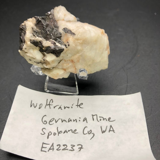 A sample of wolframite from The Crystalary sits on a clear stand, showcasing its black partial blades. The mineral's dark, metallic look contrasts beautifully with a lighter, rocky matrix. A handwritten note in front states: "Wolframite, Germania Mine, Springdale Mining District, Stevens County, Washington, USA," with the item label EA2237.