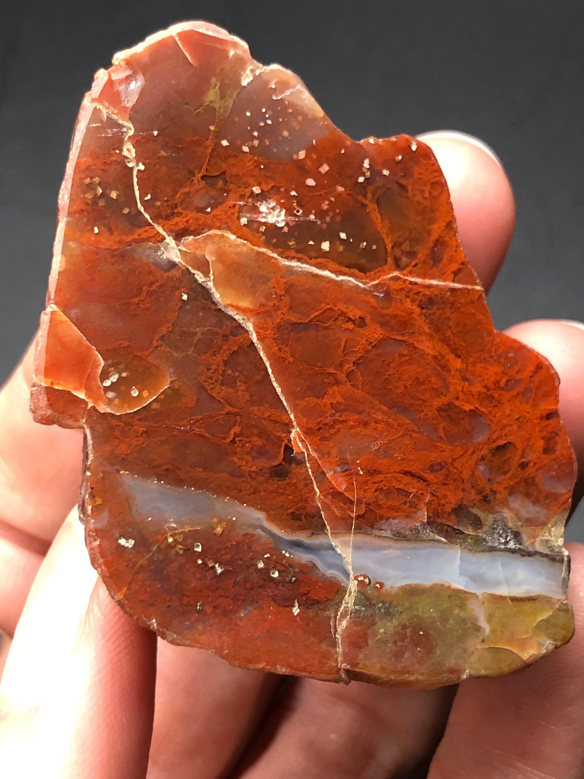 A hand holds The Crystalary's AUCTION- Agate from an unknown locality, showcasing a vibrant red rock with intricate patterns and visible layers. Its glossy surface, along with natural fractures, highlights the varied textures, almost resembling a polished red agate slice.