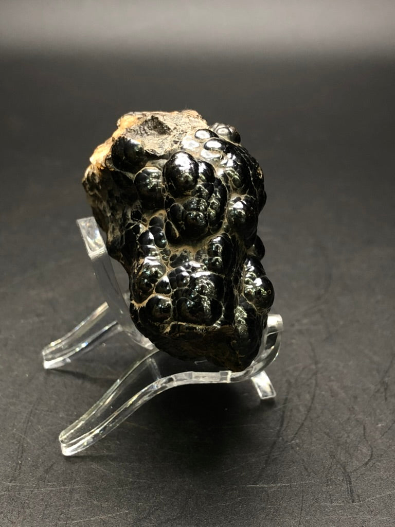 AUCTION- Hematite, var. Botryoidal- Luis Lopez Manganese District, Socorro Co., New Mexico, USA