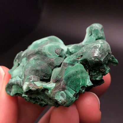 A close-up of a hand holding a specimen of AUCTION- Malachite from the Liufengshan Mine in Guichi District, Chizhou, Anhui, China by The Crystalary. The vibrant mineral showcases smooth, wave-like patterns and deep green tones against a dark background.