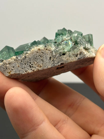 Fluorite- Cousin Jack Pocket, Rogerley Mine, Weardale, Co Durham, UK, CJ001