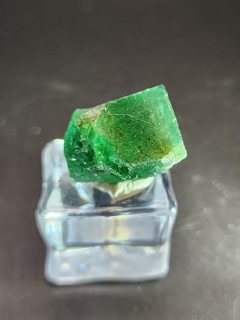 A close-up of a semi-transparent, raw fluorite crystal from the Greedy Hog Pocket at the Diana Maria Mine, Weardale, Co Durham, UK by The Crystalary sits on a clear display stand against a dark backdrop. This miniature specimen showcases rough, uneven surfaces with varying shades of green that suggest its sunlight fluorescence.