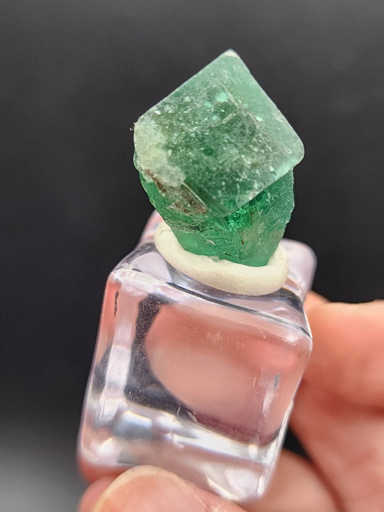 A hand holds a striking green cubic crystal from the Diana Maria Mine, featured in the AUCTION-Fluorite collection by The Crystalary. The crystal is perched on a small, transparent square base, displaying its rough texture and natural facets against a dark backdrop, evocative of sunlight fluorescence from the Greedy Hog Pocket.