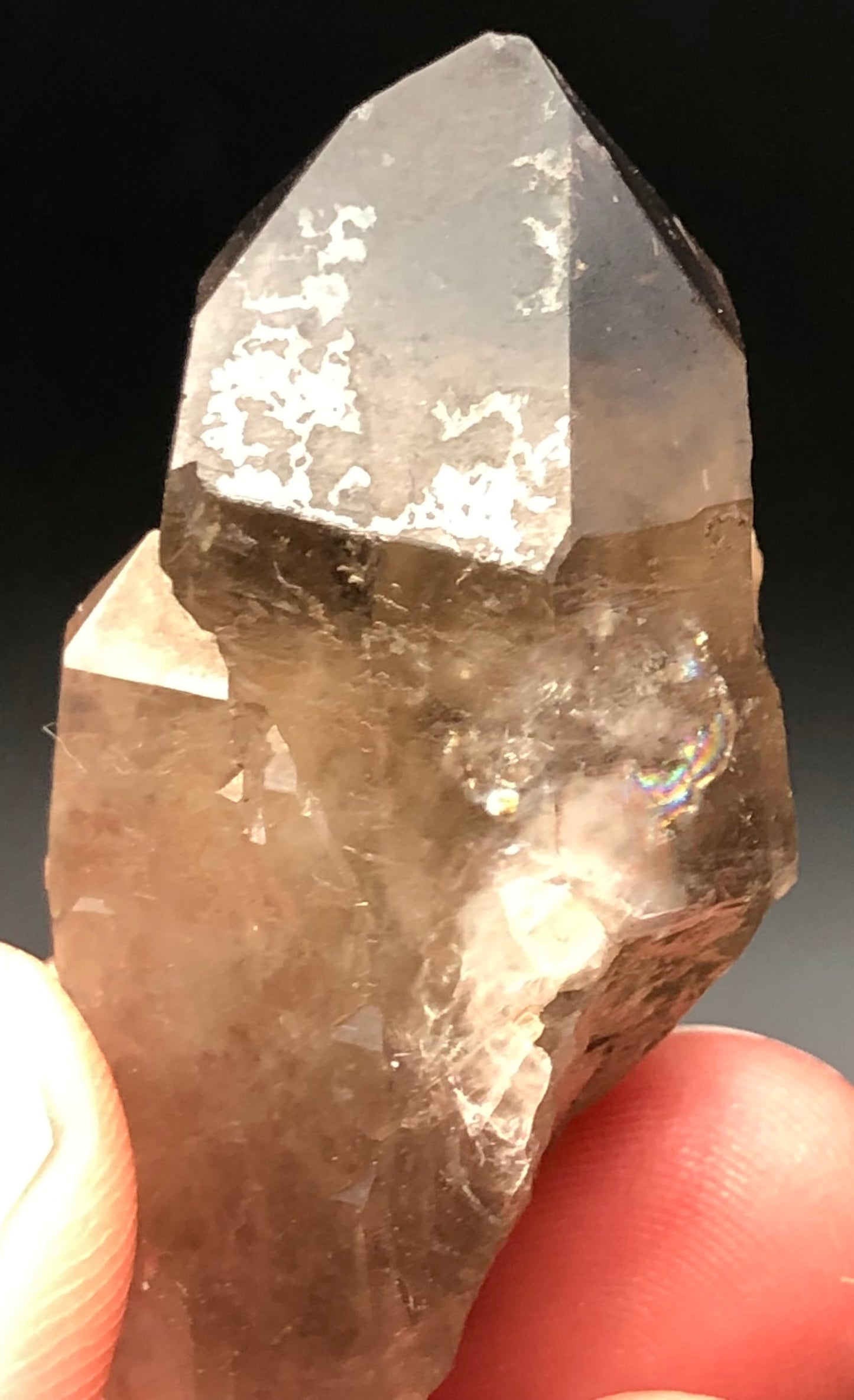 AUCTION- Smoky Quartz- Lake George, Park County, Colorado, USA