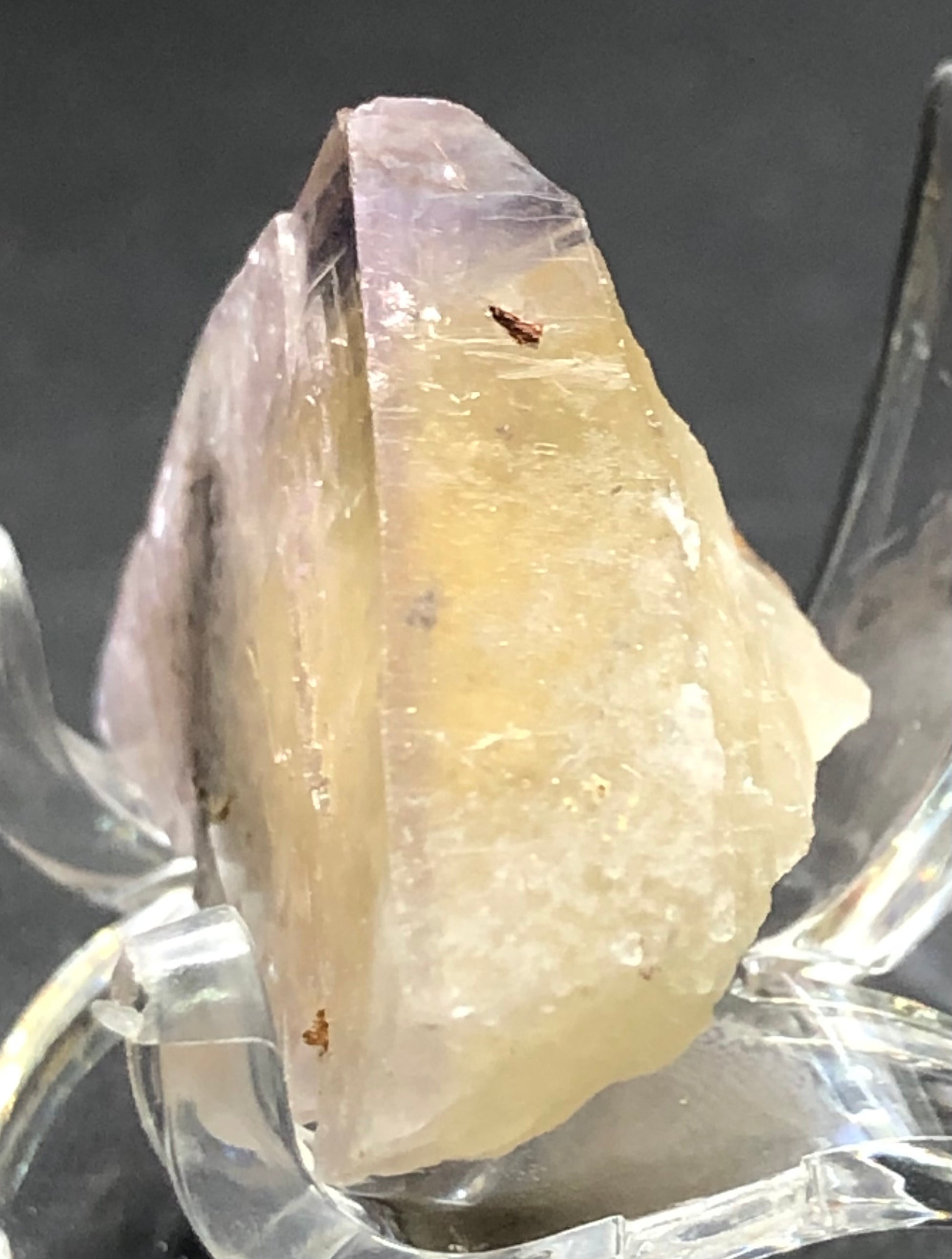 The Crystalary's AUCTION-Fluorite from Greenlaws Mine, County Durham, UK, sits on a clear stand against a dark backdrop. This translucent light-yellow crystal showcases rough surfaces with white inclusions, golden hues, and small brown spots that enhance its unique charm.