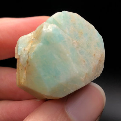 A close-up of a hand holding the AUCTION- Amazonite from Lake George, Park County, Colorado, USA by The Crystalary showcases its rough, pale blue-green hues and triclinic crystal structure. Its surfaces feature a blend of translucent and opaque areas with a subtle vitreous luster, all set against a dark background that enhances its rich colors and texture.