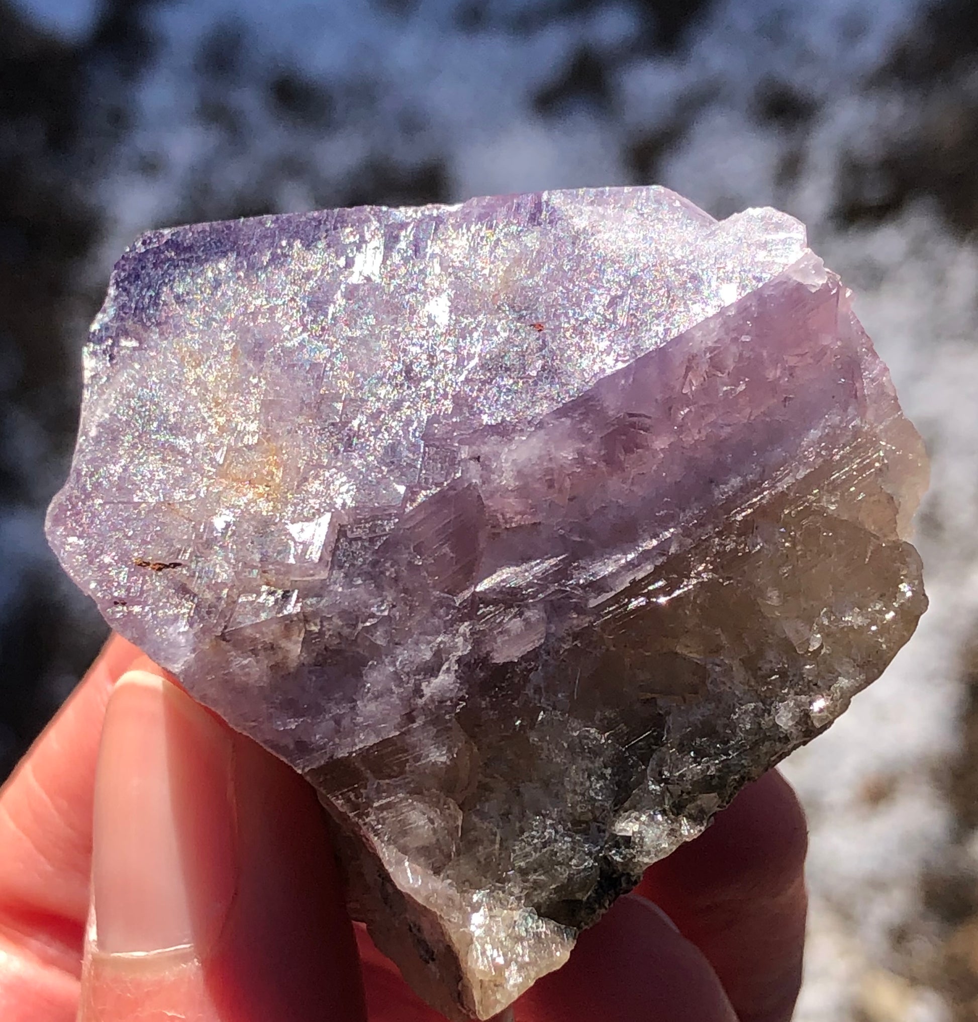 A hand holds a rough fluorite crystal by The Crystalary. Its translucent purple hues reflect light for an iridescent effect. Set against a blurred background, this AUCTION piece from Greenlaws Mine showcases its unique texture and daylight color-changing allure.