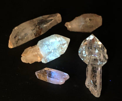 Five translucent crystals from the AUCTION- Petroleum Quartz- Afghanistan collection by The Crystalary, including a scepter-shaped one, are exhibited on a dark surface. The clear crystals' internal reflections and angular surfaces are highlighted, with some showing UV reactive properties for an enchanting glow.