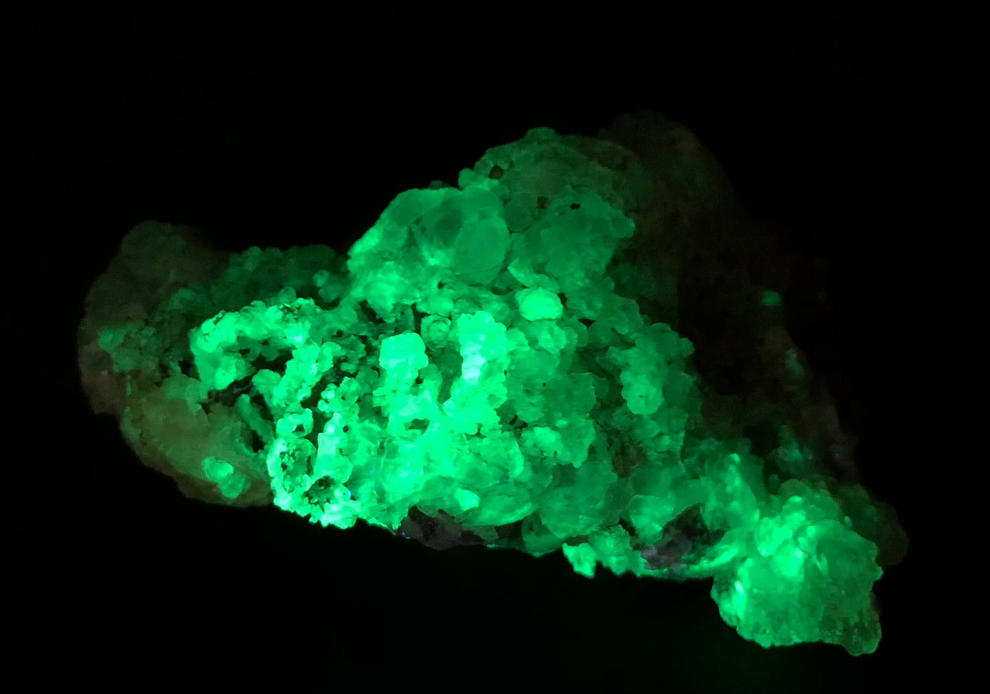 The Hyalite opal from The Crystalary's AUCTION collection exhibits a glowing green luminescence in the dark, revealing a cluster of crystalline formations. Its vibrant glow highlights its intricate textures and shapes against a black background, resembling specimens from La Ventilla, Villa de Reyes Municipality, San Luis Potosí, Mexico.