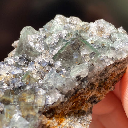 Close-up of a hand holding a large, rough Fluorite- Northern Lights Pocket cluster from the Diana Maria Mine, Co. Durham, England by The Crystalary. Multiple small, translucent, and jagged crystals protrude from the cluster. The crystals are primarily light green and clear with a few brownish areas on the rocky base. The background is blurred and dark.