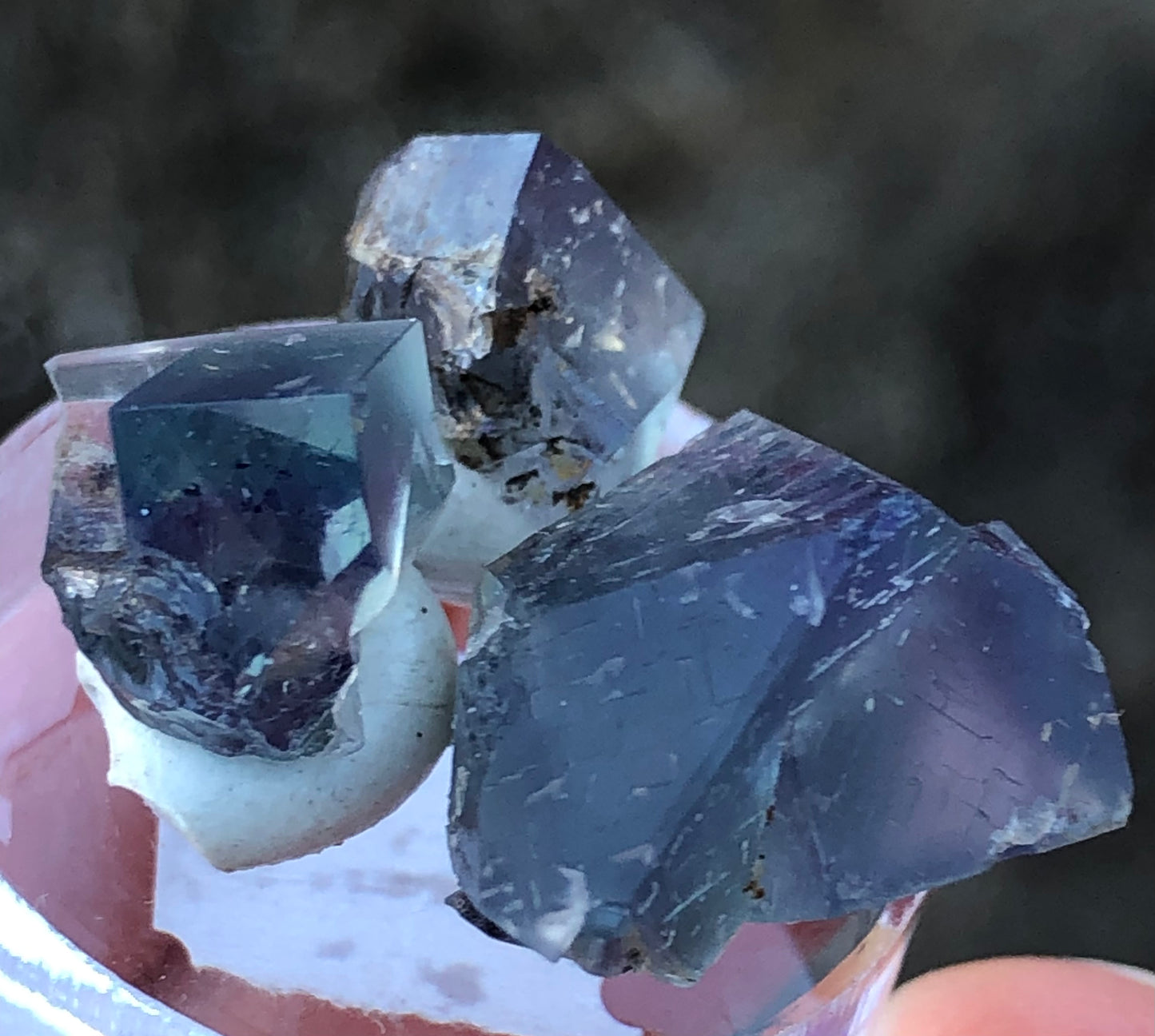 Three dark blue fluorite crystals from The Crystalary's AUCTION-Rainbow's End Pocket (Lady Annabella, Co Durham, UK) are displayed on a small stand. Their cubic shapes, with natural imperfections in size, stand out against a blurred background for an added mysterious allure.