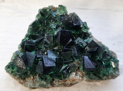 A cluster of dark green fluorite crystals, hinting at black, sits on a rough beige rock from the renowned Greedy Hog Pocket, sourced from Diana Maria in Co. Durham, England. The geometric cubic-shaped crystals from The Crystalary feature shiny, smooth surfaces that beautifully reflect light against a plain off-white background.