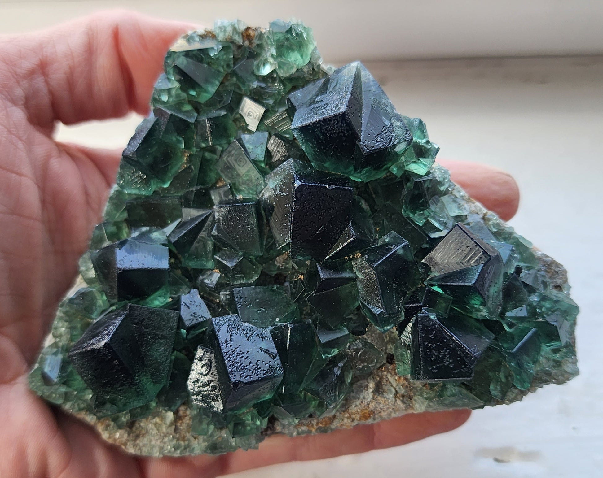 A hand holding a vibrant mineral specimen featuring a cluster of deep green fluorite crystals from the Greedy Hog Pocket in the Diana Maria mine, Co. Durham, England. The well-formed, transparent crystals reflect light, showcasing sharp edges and smooth surfaces, adding to the allure of this remarkable find by The Crystalary.