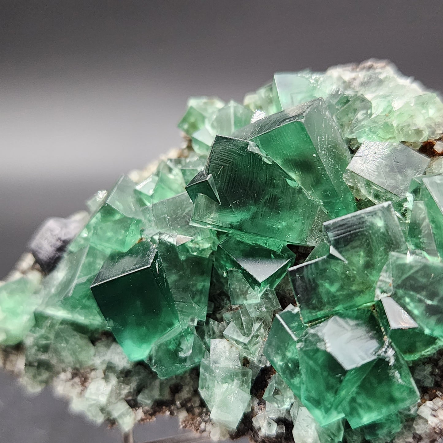 Close-up photograph of a cluster of Fluorite- Greedy Hog Pocket crystals from the Diana Maria mine, Co. Durham, England by The Crystalary. The crystals feature sharp, detailed edges and are predominantly emerald green with some variations in hue. Set against a dark, out-of-focus background, their vibrant color and geometric shapes are highlighted beautifully.