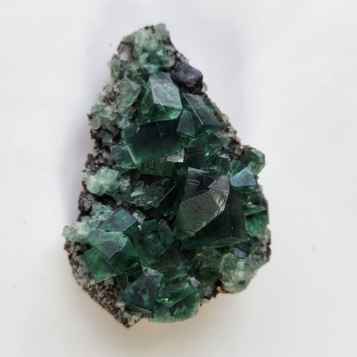 A Fluorite- Greedy Hog Pocket, Diana Maria specimen from Co. Durham, England features deep green cubic crystals with some translucent edges on a rough, rocky matrix. The varying sizes of the fluorite crystals form a striking cluster on the host rock sourced from the renowned Diana Maria mine. The Crystalary offers this specimen against a plain white background.