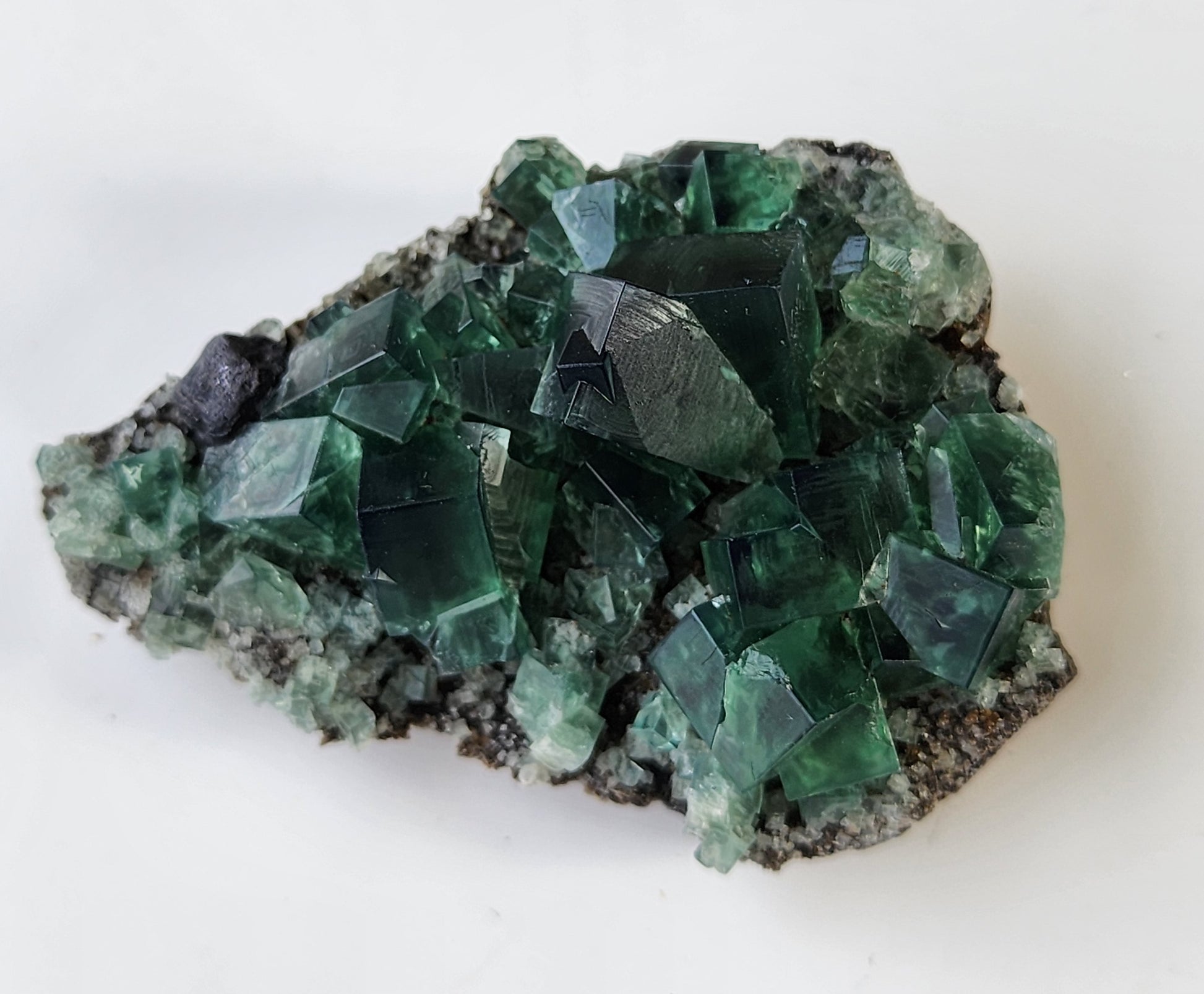 A cluster of Fluorite from the Greedy Hog Pocket in the Diana Maria mine, Co. Durham, England showcases green cubic crystals resting on a grey rock base. These crystals exhibit smooth surfaces and sharp edges, arranged in diverse orientations to create a vibrant and intricate display. The background is plain white, highlighting the detailed composition. This exquisite specimen is offered by The Crystalary.