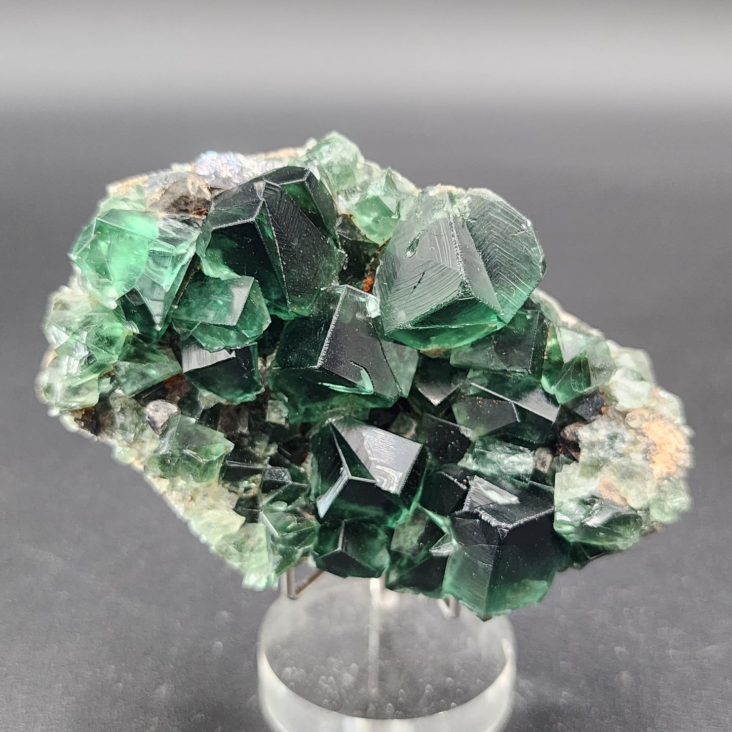 A vibrant specimen of deep green fluorite crystals from the Diana Maria mine, featuring sharp and geometric faces, is clustered together to form intricate patterns. This exquisite piece, known as "Fluorite- Greedy Hog Pocket, Diana Maria, Co. Durham, England" from The Crystalary, is elegantly displayed on a clear stand against a plain dark background.