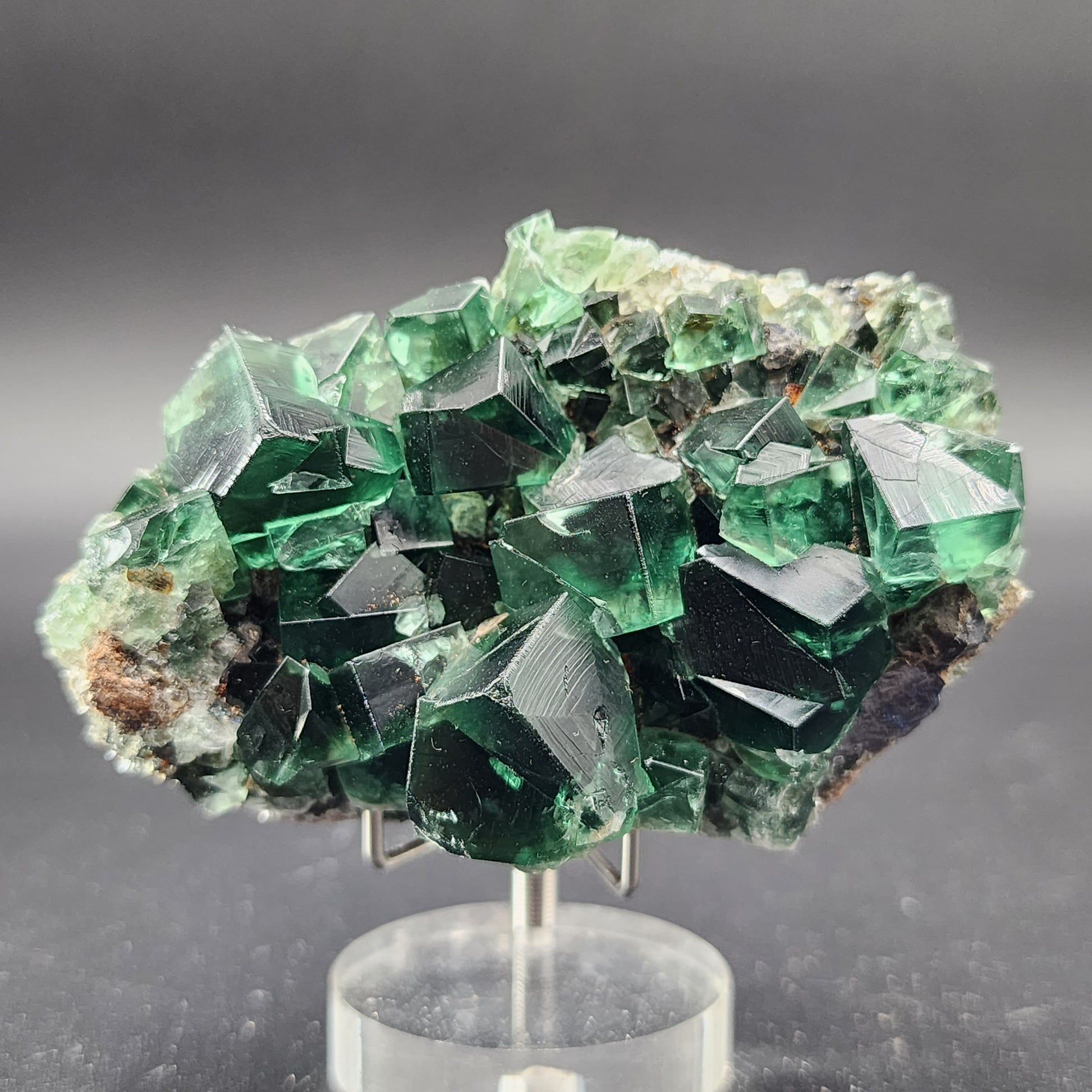 A Fluorite specimen from the Greedy Hog Pocket at the Diana Maria mine in Co. Durham, England, sold by The Crystalary, displays a cluster of dark green, glass-like crystals with well-defined edges and shiny reflective surfaces. These rough, jagged structures are elegantly presented on a small clear stand against a plain gray background.