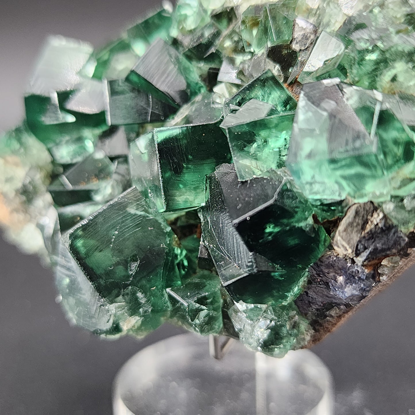 Close-up of a cluster of deep green, translucent fluorite crystals from "Fluorite - Greedy Hog Pocket, Diana Maria, Co. Durham, England" by The Crystalary. The cubic formations exhibit sharp edges and are mounted on a clear display stand. The background is out of focus, highlighting the intricate details and vibrant hue of the crystals.