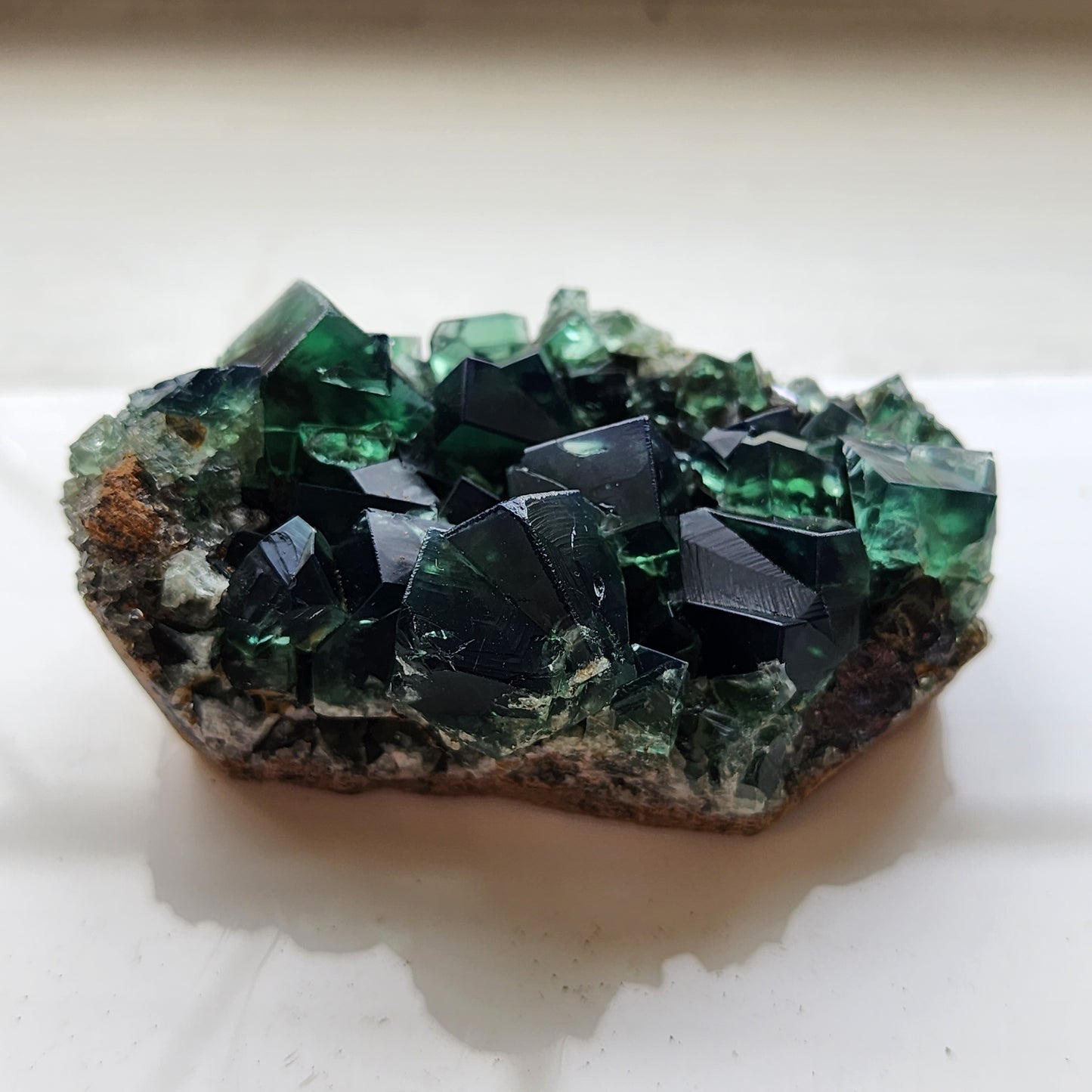 A close-up photo of a cluster of deep green fluorite crystals from the Greedy Hog Pocket at the Diana Maria mine in Co. Durham, England, set against a brownish rock matrix. The well-formed and translucent crystals vary in shades of green, catching the light to reveal their geometric facets. The background is a plain white surface. This stunning piece is offered by The Crystalary.