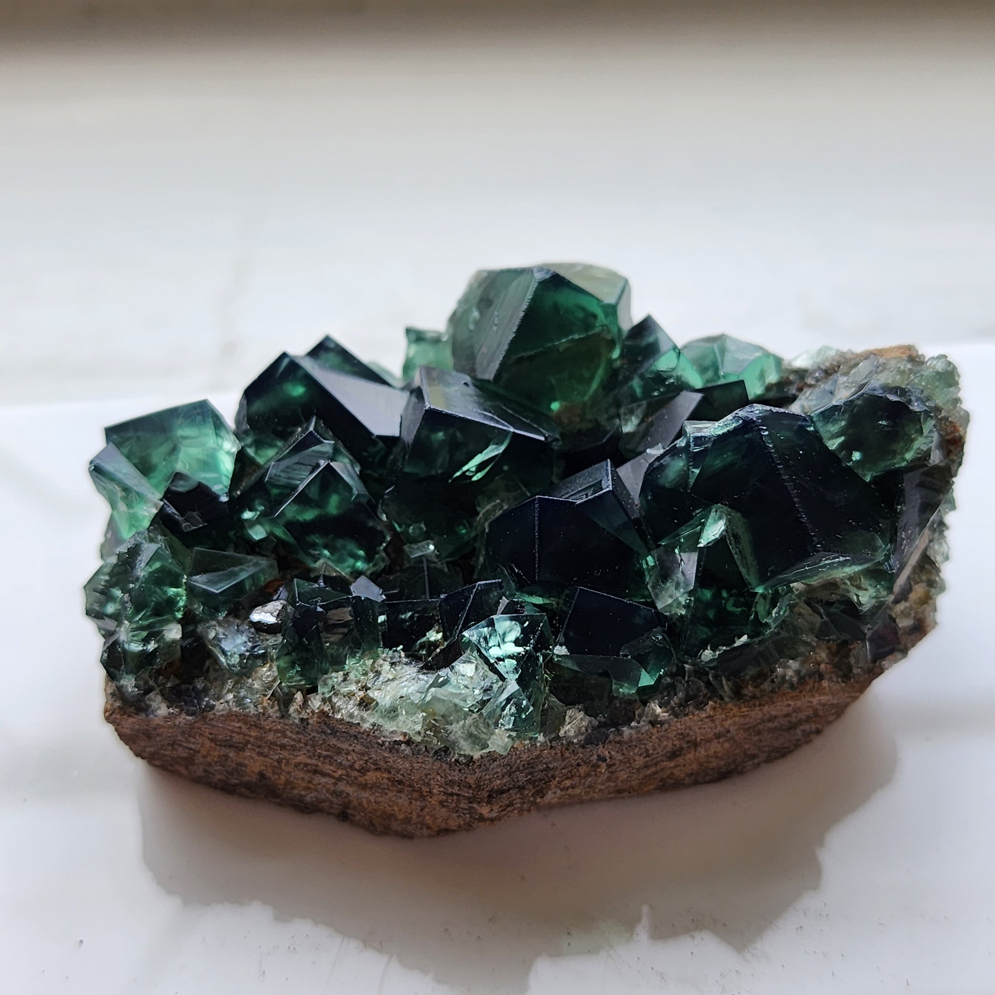 A Fluorite specimen from The Crystalary, featuring a large green crystal from the Greedy Hog Pocket at the Diana Maria mine in Co. Durham, England, showcases sharp geometric formations on a brown matrix. The crystals display deep green hues with touches of transparency that provide a stunning contrast to the matrix. This impressive piece is presented against a light background.