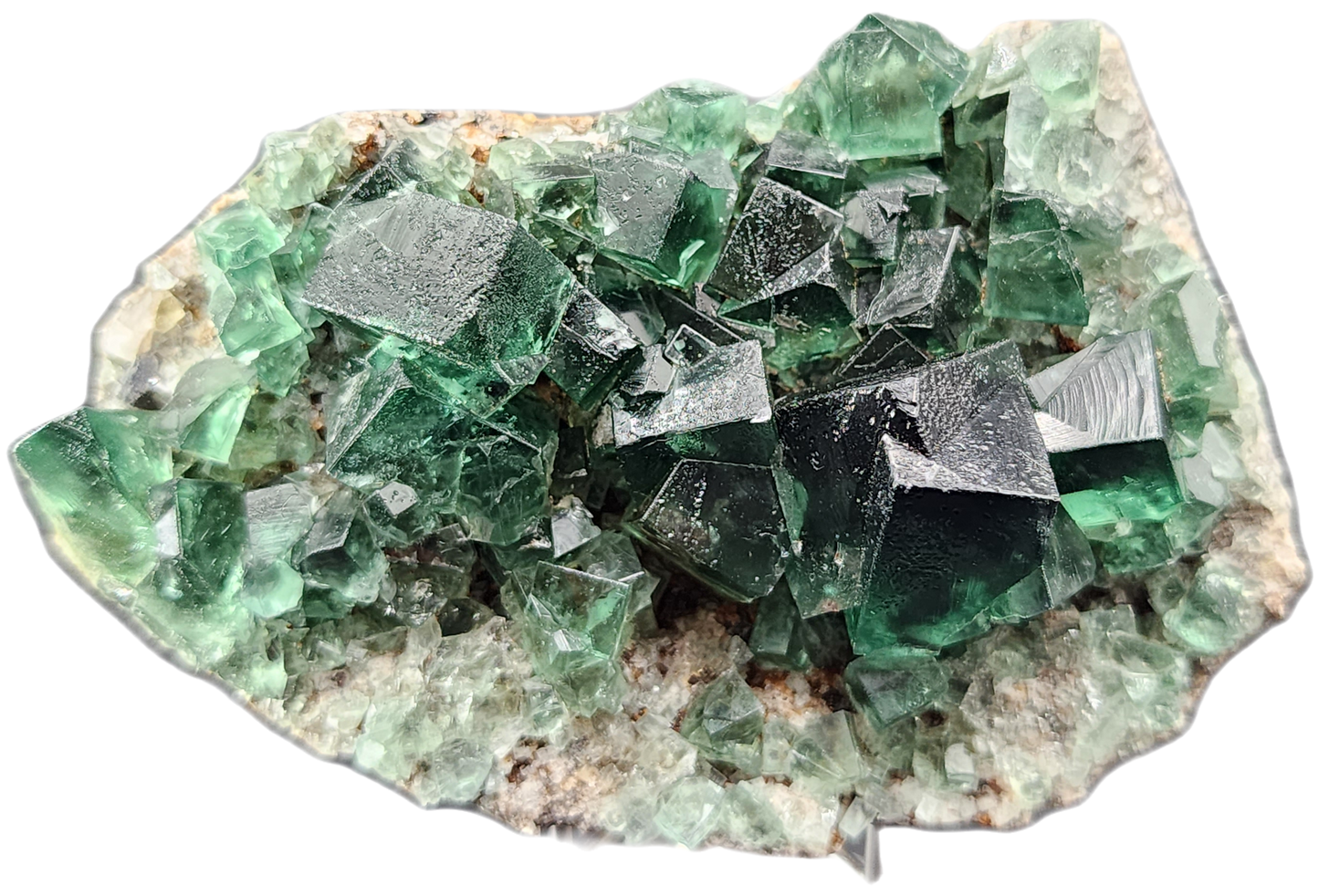 A close-up of a green Fluorite - Greedy Hog Pocket cluster from The Crystalary, mined at the Diana Maria site in Co. Durham, England, perched on a white and brown stone base. The translucent crystals display sharp edges and various sizes, forming a striking natural formation.