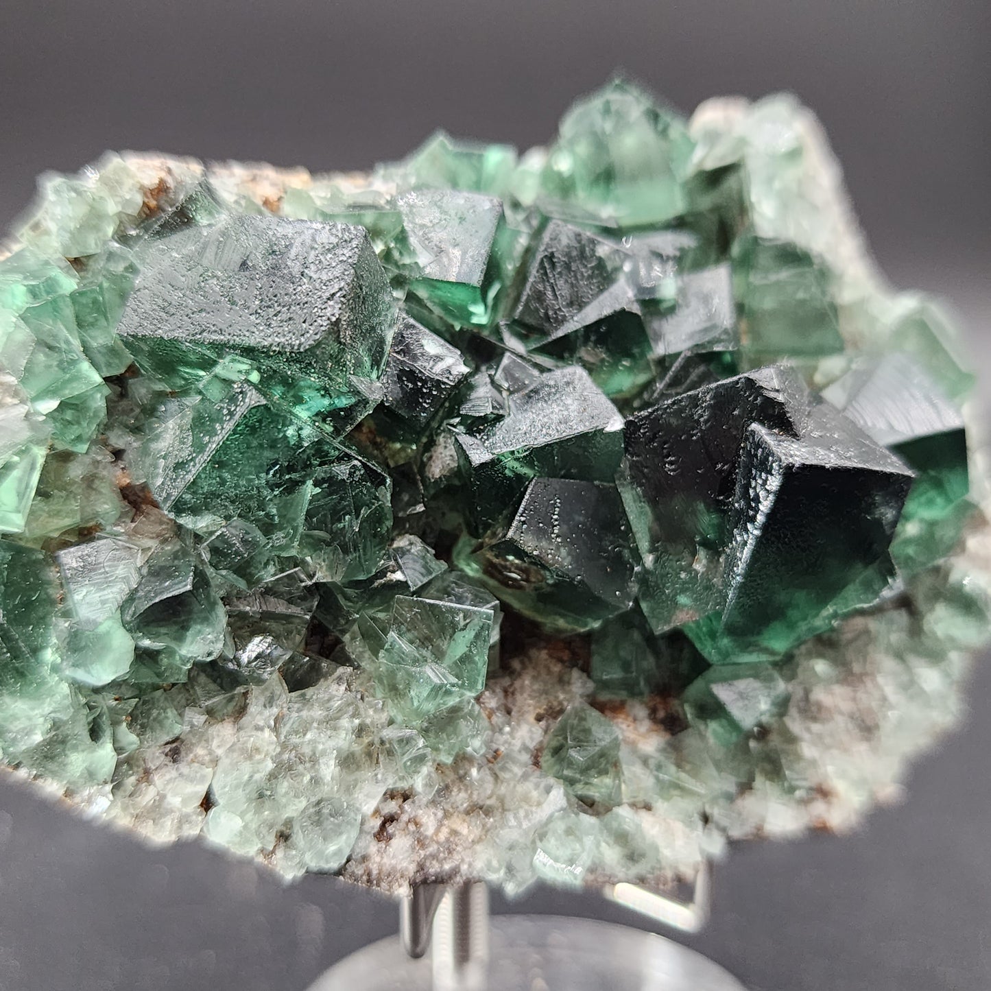 A display of Fluorite from the Greedy Hog Pocket at Diana Maria in Co. Durham, England features cubic green crystals clustered together on a rocky base. Sourced from the renowned Diana Maria mine, these vibrant green crystals are showcased by The Crystalary, highlighting their natural geometric formation against a solid, dark background.