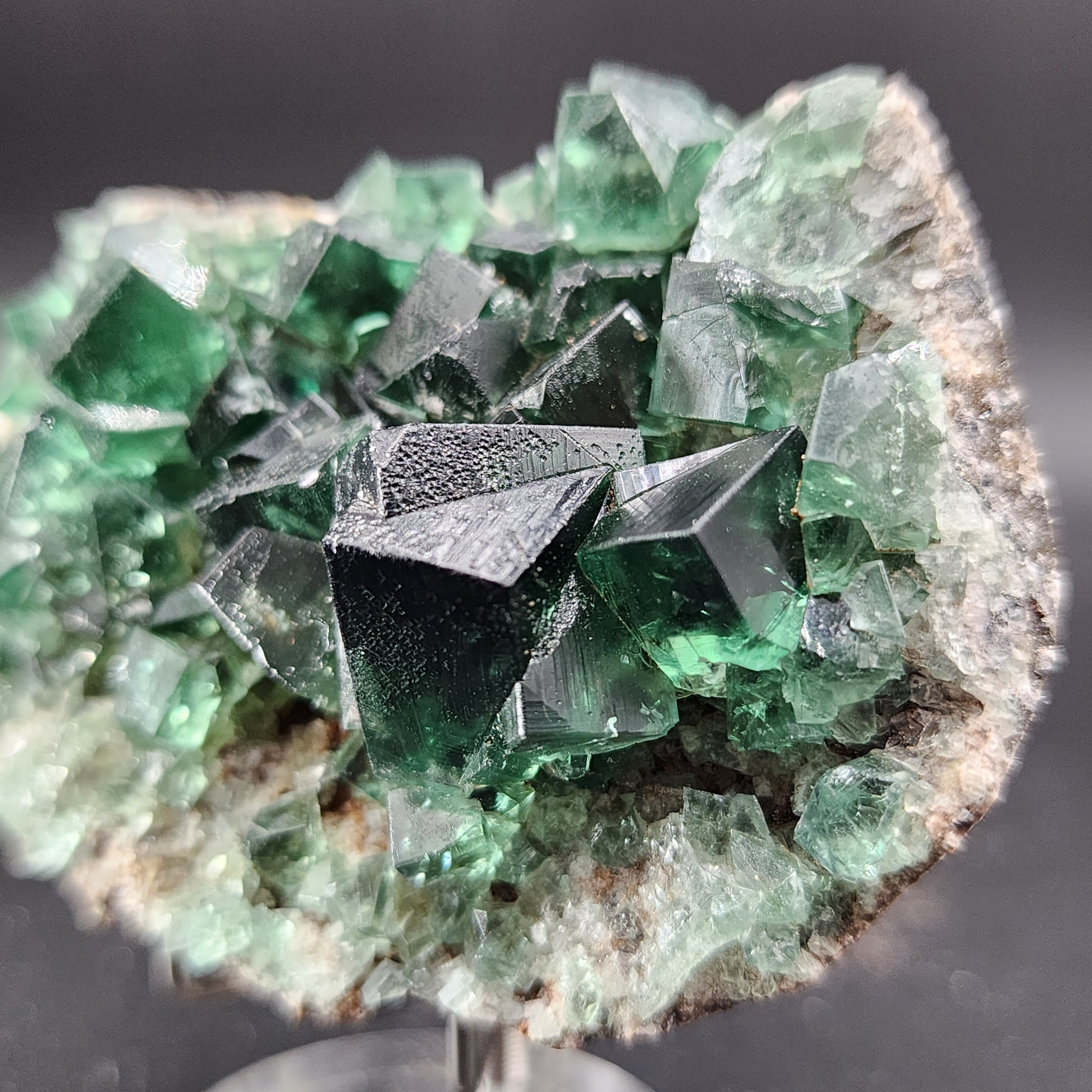 Here is a close-up of a Fluorite cluster from the Greedy Hog Pocket in Diana Maria mine, Co. Durham, England. This stunning piece, proudly offered by The Crystalary, showcases deep green fluorite crystals with sharp, angular formations on a rough greyish matrix. The glassy, translucent appearance of these geometric crystals creates a striking visual contrast against the background.