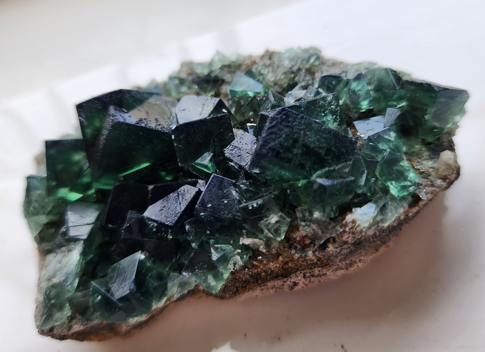 Close-up image of a mineral specimen featuring dark green cubic crystals on a rocky base. The translucent, glossy Fluorite from the Greedy Hog Pocket at the Diana Maria mine in Co. Durham, England, varies in crystal size and rests on a mix of brown and lighter green tones. The background is out of focus. This stunning piece is offered by The Crystalary.