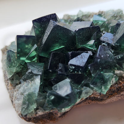 A close-up of a cluster of dark green and translucent Fluorite crystals from The Crystalary's Greedy Hog Pocket collection at the Diana Maria mine in Co. Durham, England. The crystals have sharp edges and vary in size, with some surfaces reflecting light, giving them a shiny appearance.