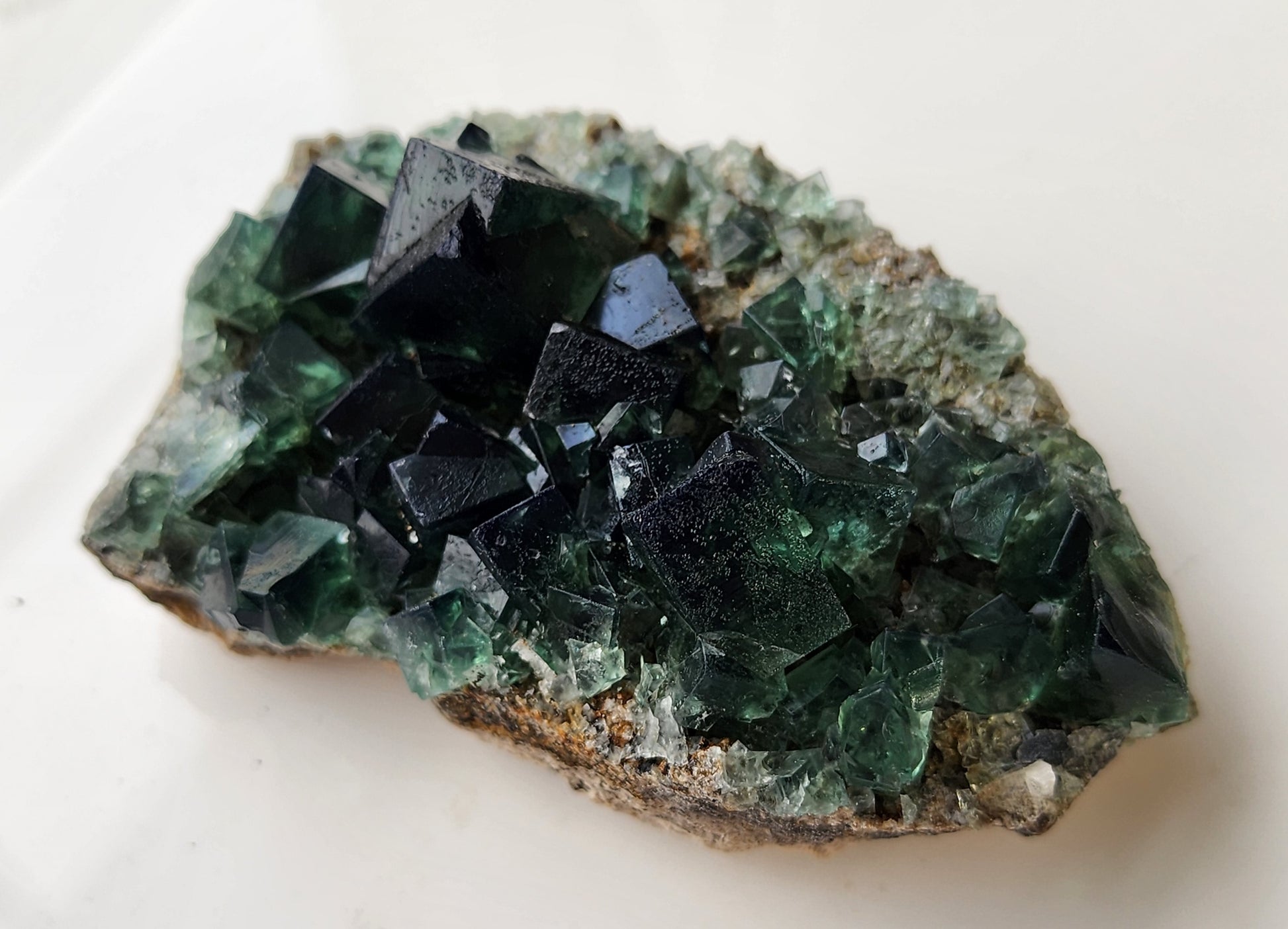 Introducing the Fluorite from the Greedy Hog Pocket in Diana Maria, Co. Durham, England by The Crystalary: A mesmerizing crystalline mineral formation showcasing dark green to nearly black transparent cubic crystals. These stunning crystals are beautifully clustered together, emerging from a rocky base adorned with lighter green and clear areas. This specimen is set against a neutral background for an elegant display.