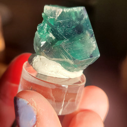 Fluorite- Excavator Terminator, Lady Annabella, Co. Durham, England