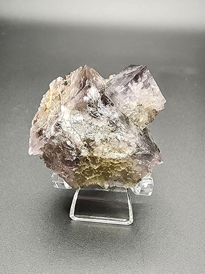 A large, rough Fluorite- Purple Haze Pocket specimen from the Diana Maria Mine in Rogerley, Weardale, England is displayed on a clear stand against a plain gray background. The jagged edges and reflective surfaces of this captivating fluorite by The Crystalary showcase various textures and shades, highlighting its natural beauty.