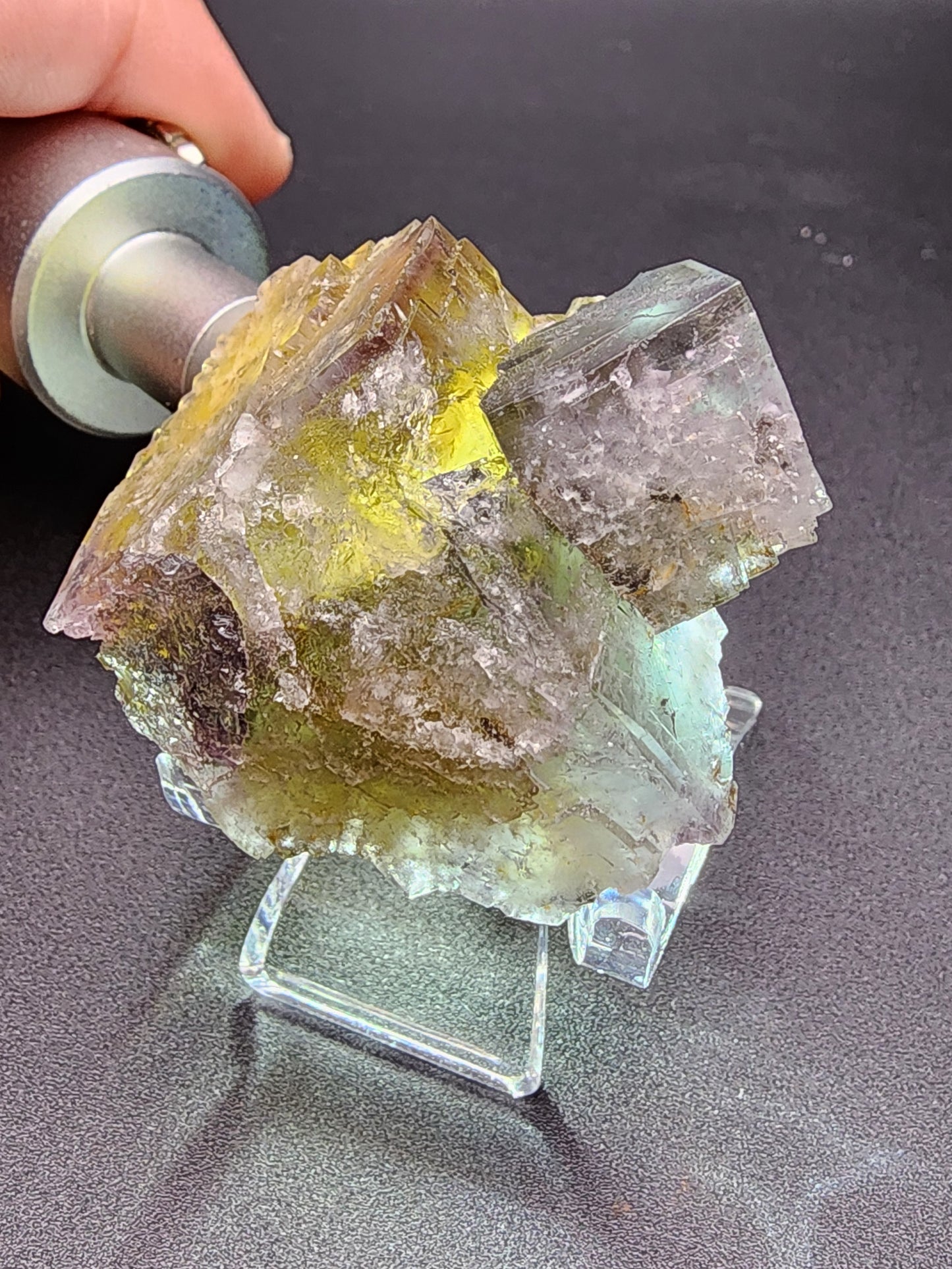 Close-up of a multicolored crystal specimen held by a hand using a metal tool. This Fluorite from The Crystalary, sourced from the Purple Haze Pocket in Diana Maria Mine, Rogerley, Weardale, England, features yellow, purple, and clear hues with a rough texture and sharp geometric facets. It rests on a small transparent stand against a dark background.