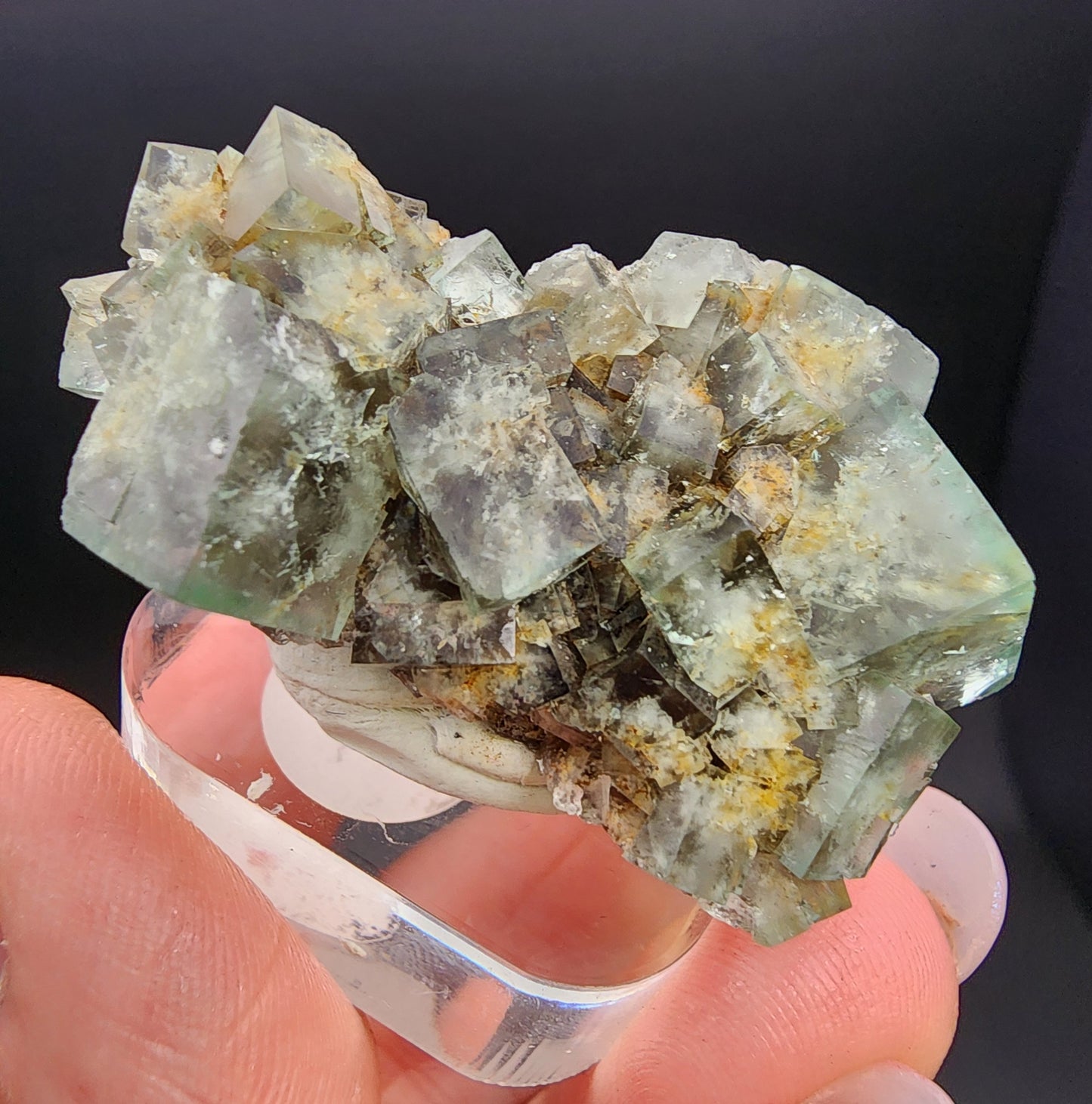 Fluorite Miniature-Hidden Forest Pocket, Diana Maria Mine, Frosterly Weardale, Co. Durham,  England