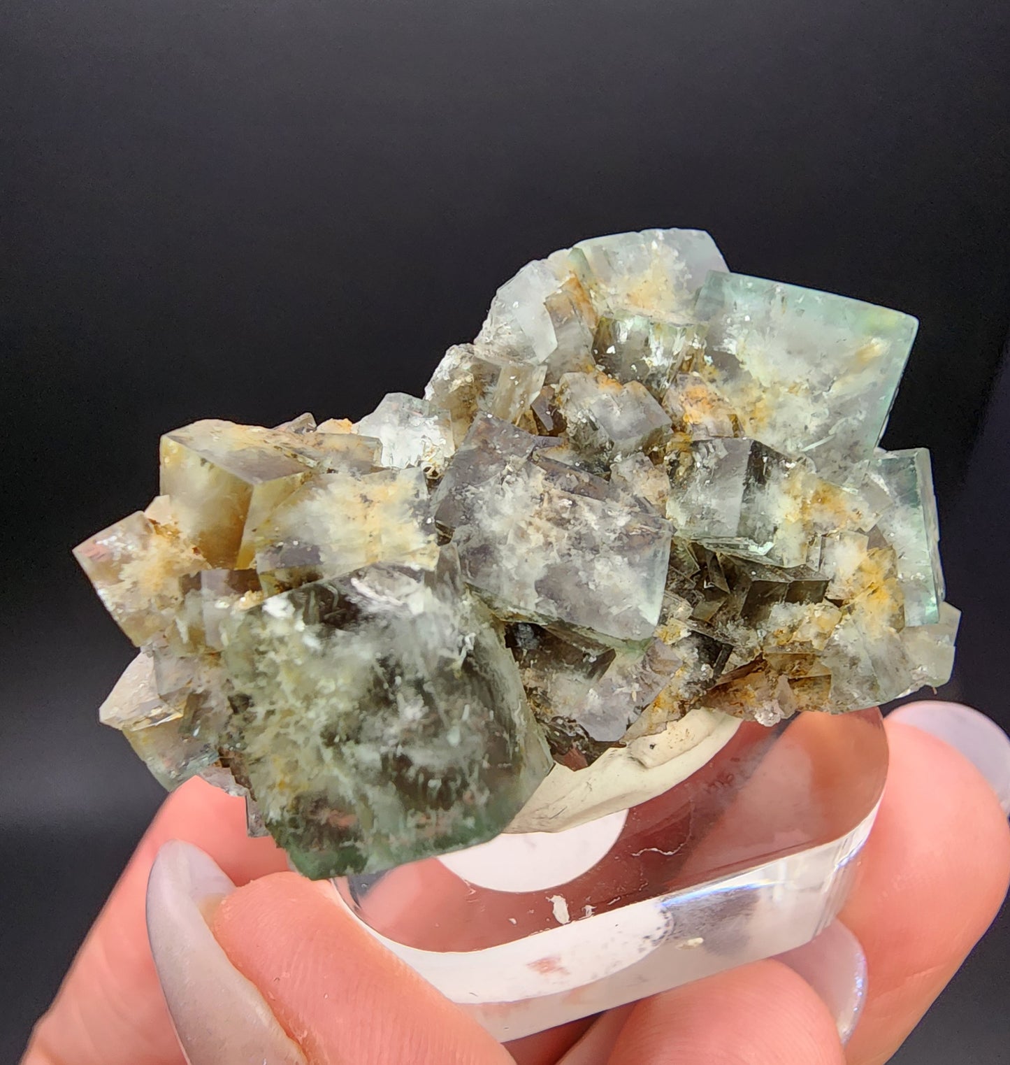 Fluorite Miniature-Hidden Forest Pocket, Diana Maria Mine, Frosterly Weardale, Co. Durham,  England