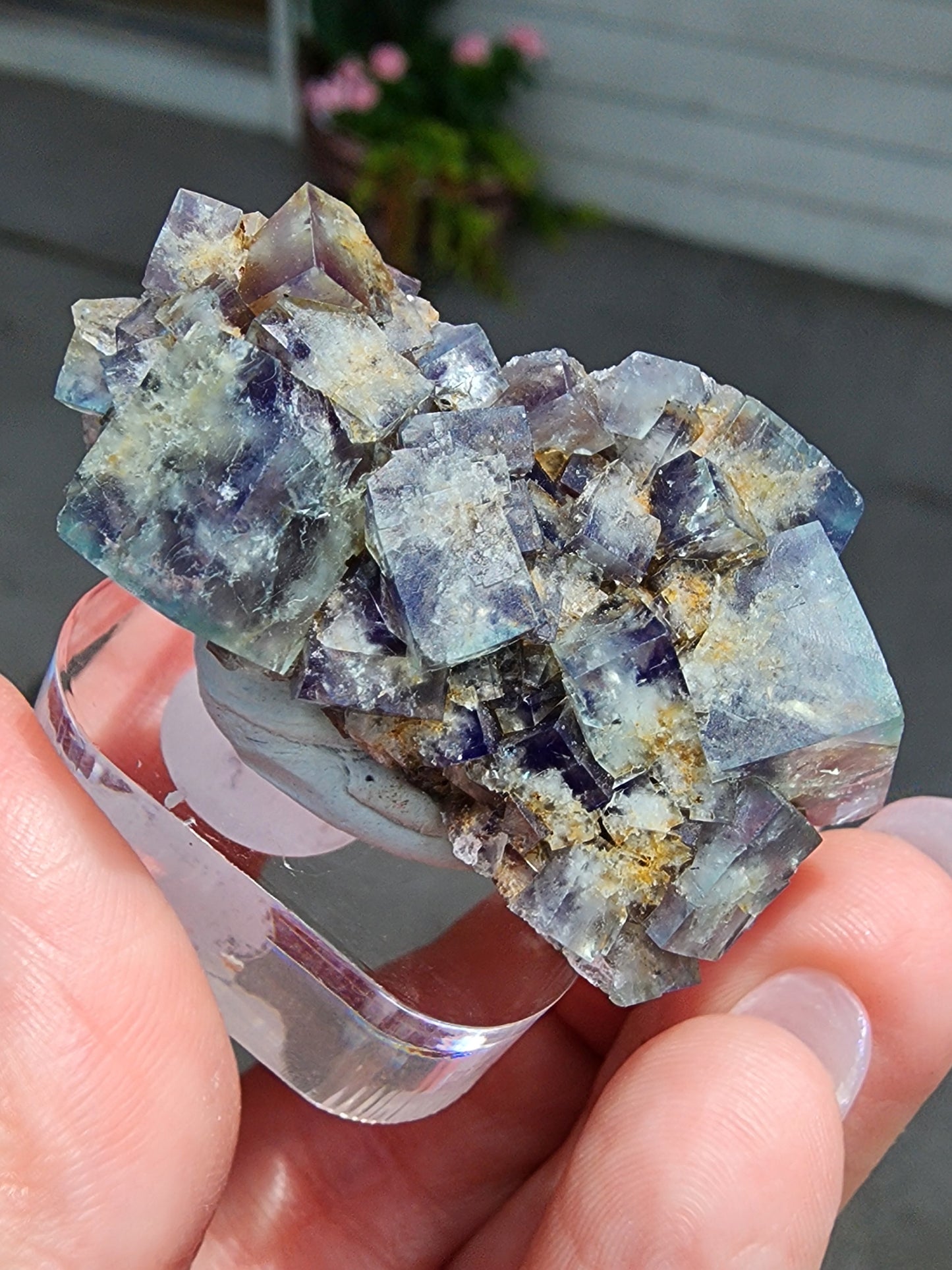 Fluorite Miniature-Hidden Forest Pocket, Diana Maria Mine, Frosterly Weardale, Co. Durham,  England