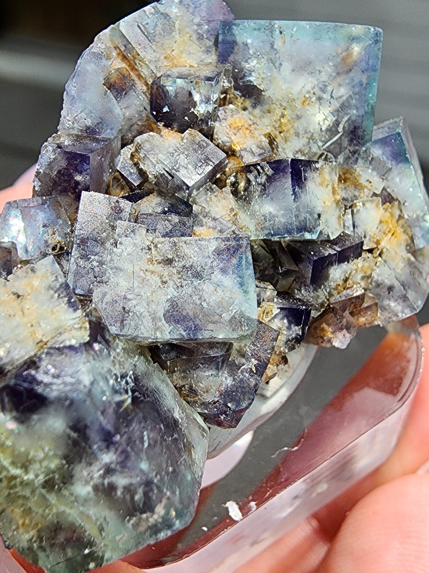 Fluorite Miniature-Hidden Forest Pocket, Diana Maria Mine, Frosterly Weardale, Co. Durham,  England