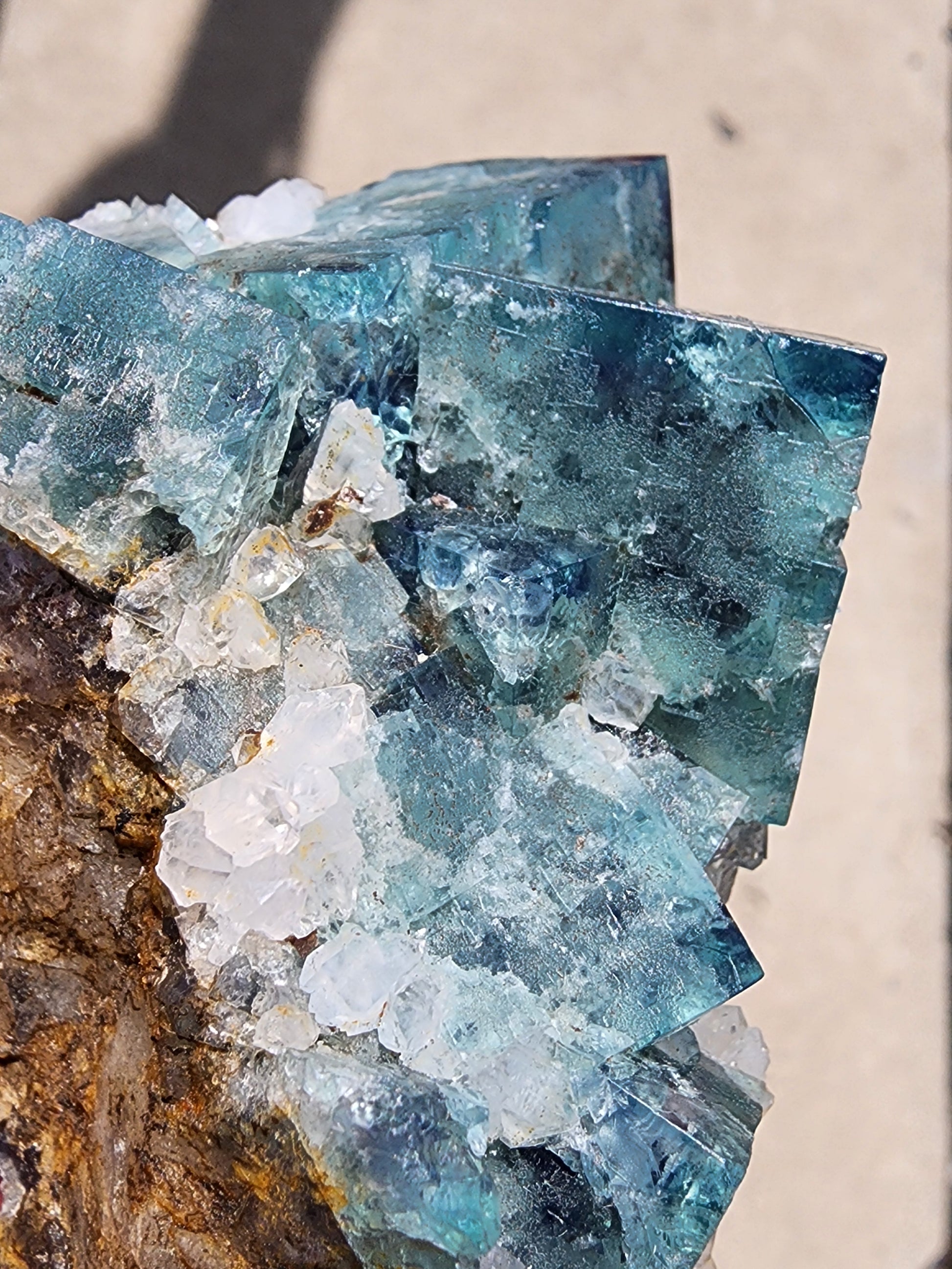 A detailed look at the "Fluorite- Supernova Pocket" crystals from The Crystalary, sourced from the Diana Marie Mine in Weardale, Co. Durham, England. These blue and green cubic-shaped fluorite crystals exhibit translucent surfaces and are partially embedded in a brownish rocky matrix. Sunlight accentuates their intricate textures and variations in hue.