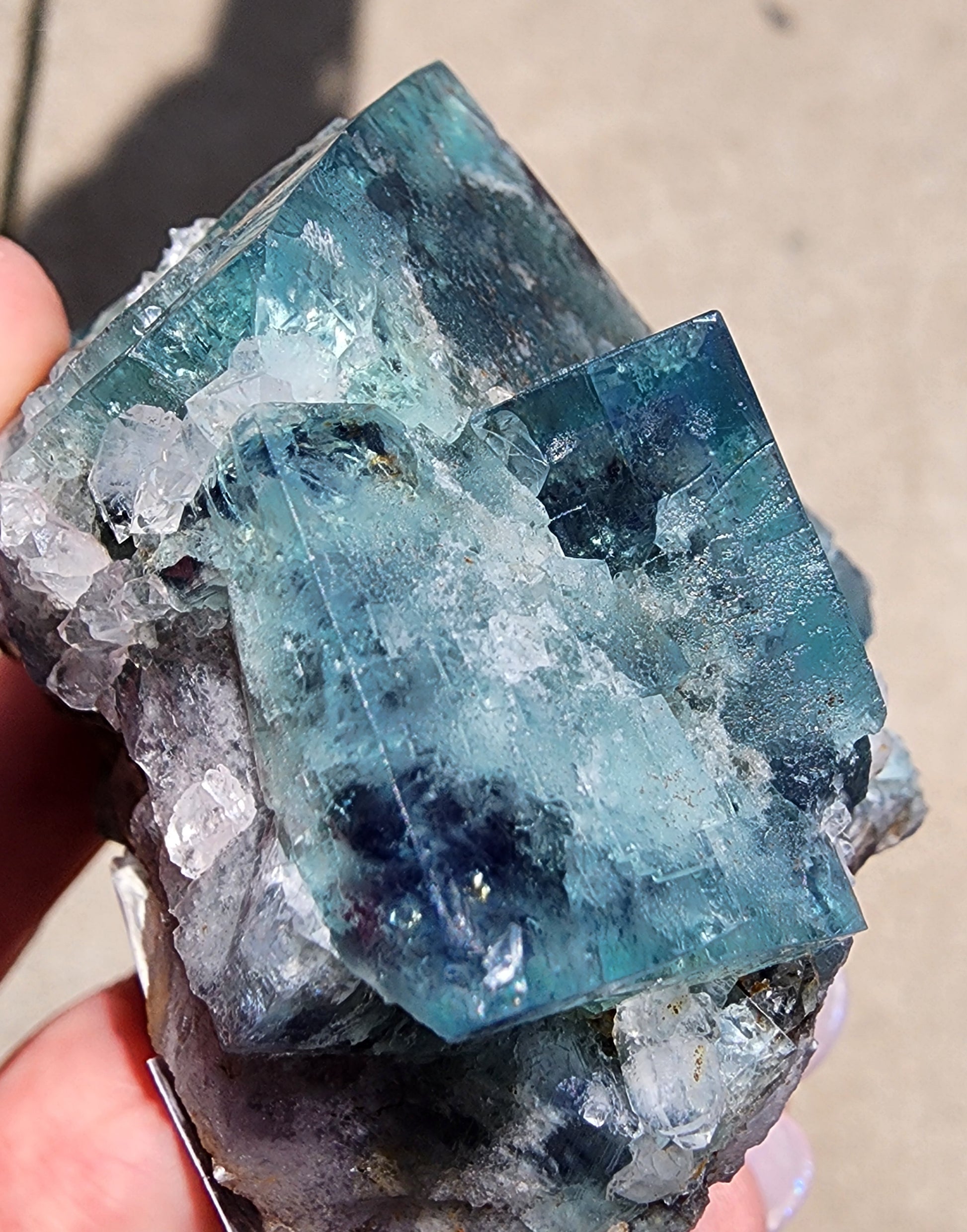 A close-up of a hand holding The Crystalary's "Fluorite- Supernova Pocket" from the Diana Marie Mine in Weardale, Co. Durham, England. The vibrant blue-green fluorite crystals showcase visible layers and irregular edges, complemented by attached white and gray mineral formations. The raw beauty of the supernova pocket is set against a sunlit concrete surface background.